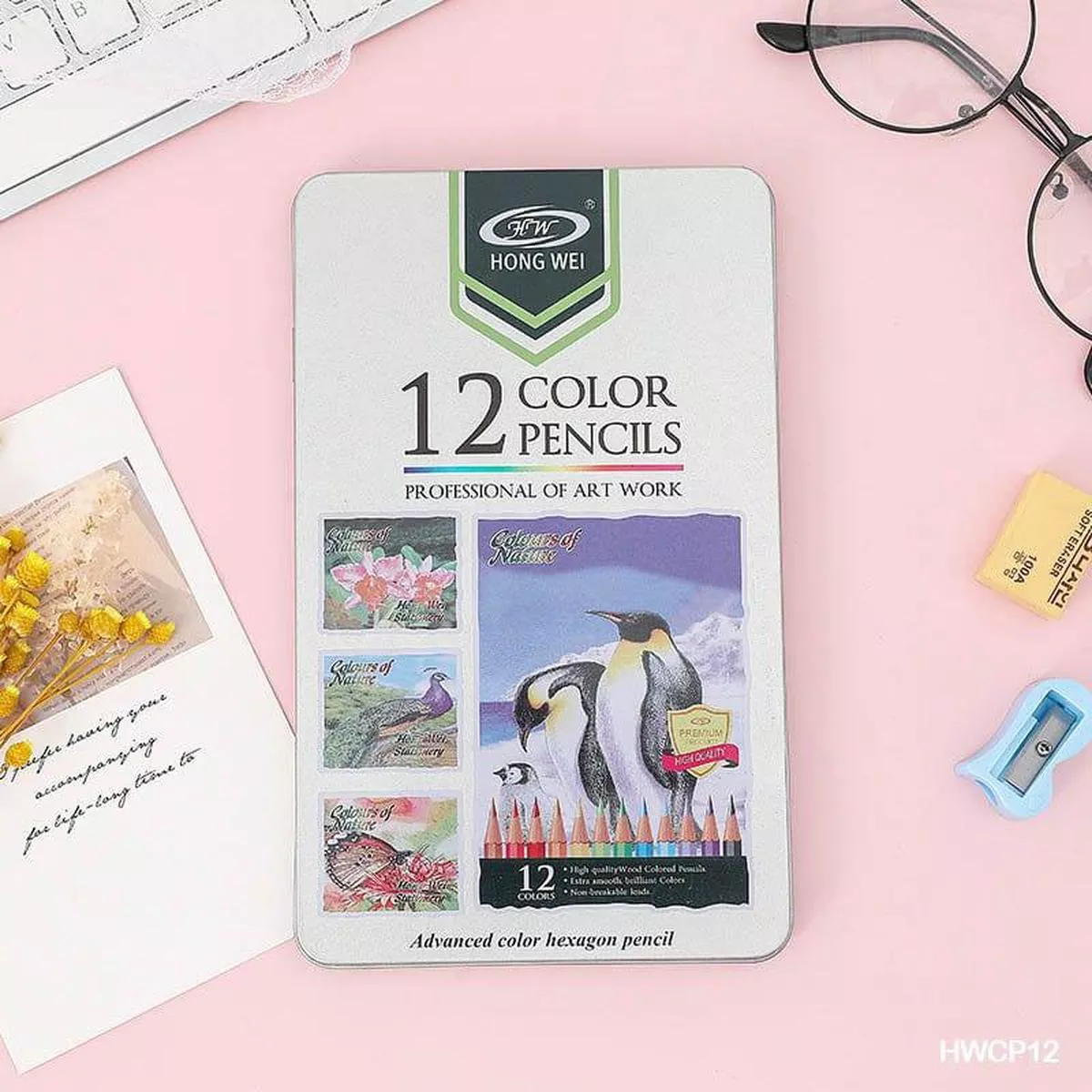 12 Premium Advanced Color Pencils for Artists & Crafters