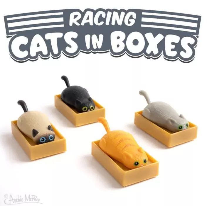 RACING CATS IN A BOX