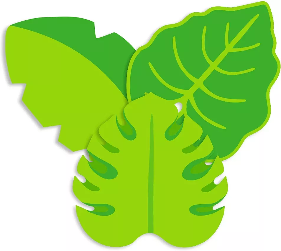 YOU CAN TOUCAN LEAVES PAPER CUT 841358