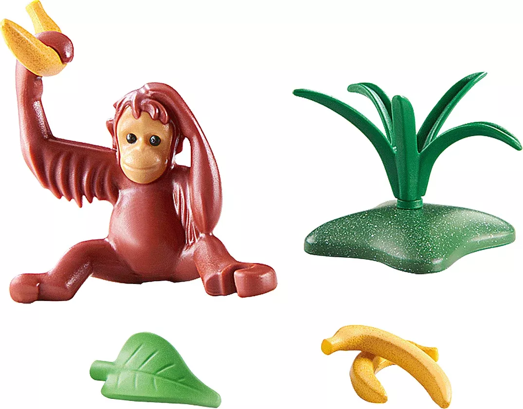 YOUNG ORANGUTAN DISCOVER THE PLANET